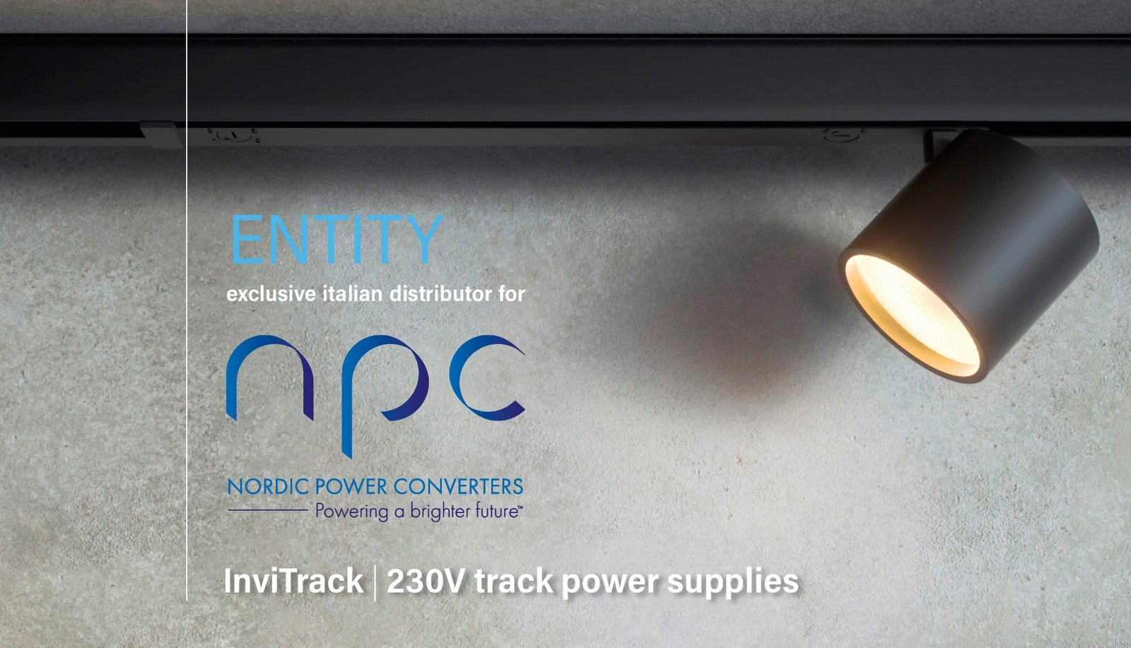 entity_-_banner_NPC_sito-min