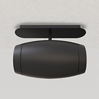 Vairus Smart Ceiling/Wall